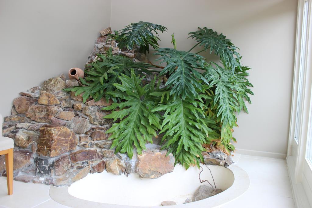 Den Bongaerd B&B And Wellness Tongeren Esterno foto